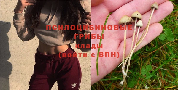 кокс Алексеевка