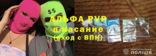 шишки Алексин