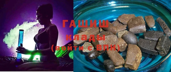 шишки Алексин